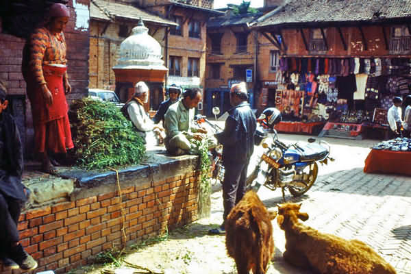 Leben, Arbeiten und Menschen in Kathmandu