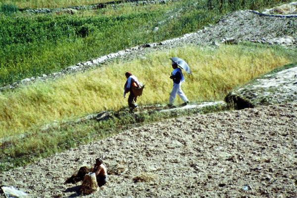 Landleben der Menschen im Kathmandutal