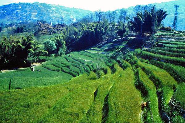 Landleben der Menschen im Kathmandutal