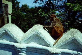 Kathmandu